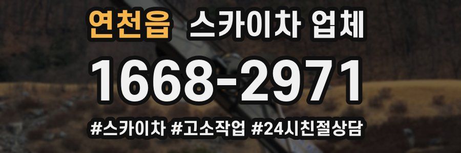 연천읍 스카이차 업체