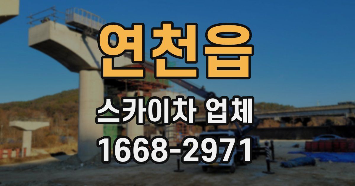 연천읍 스카이차 업체