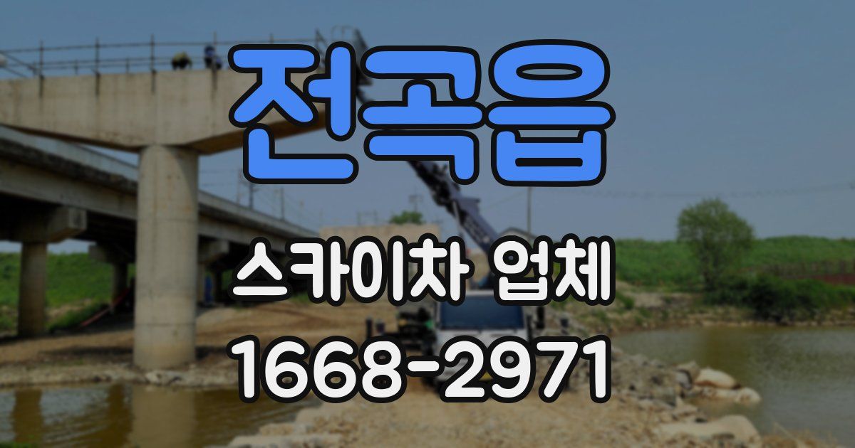 전곡읍 스카이차 업체