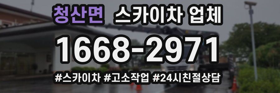청산면 스카이차 업체
