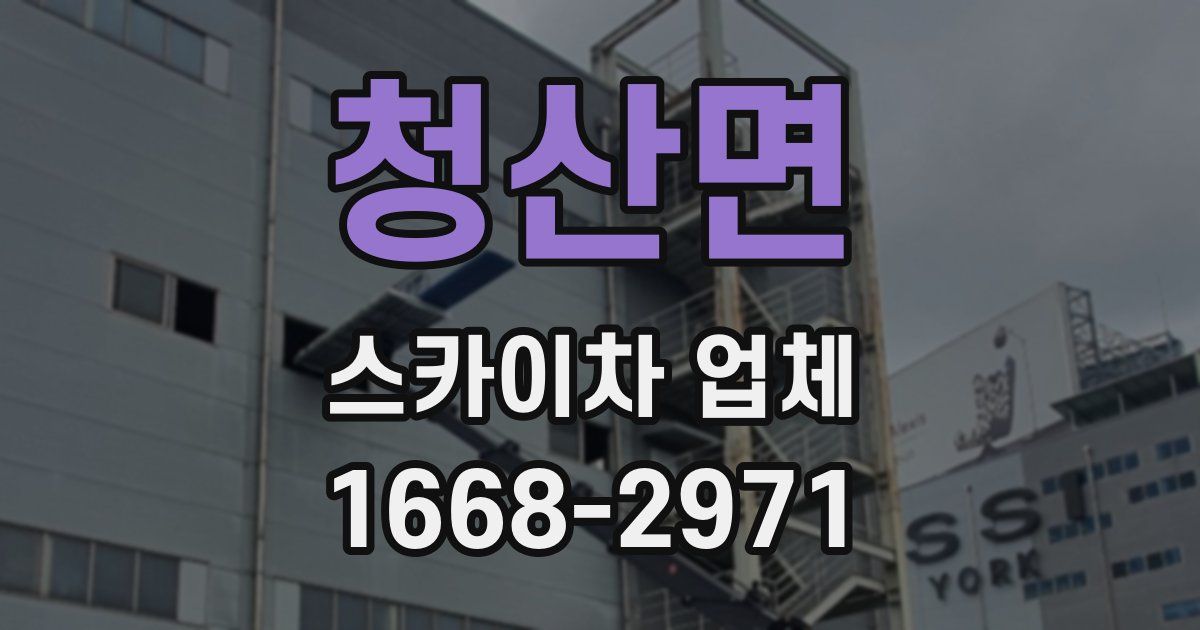 청산면 스카이차 업체