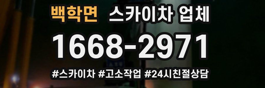 백학면 스카이차 업체