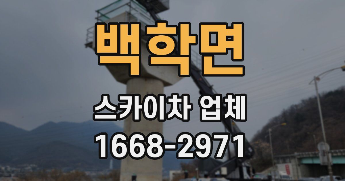 백학면 스카이차 업체