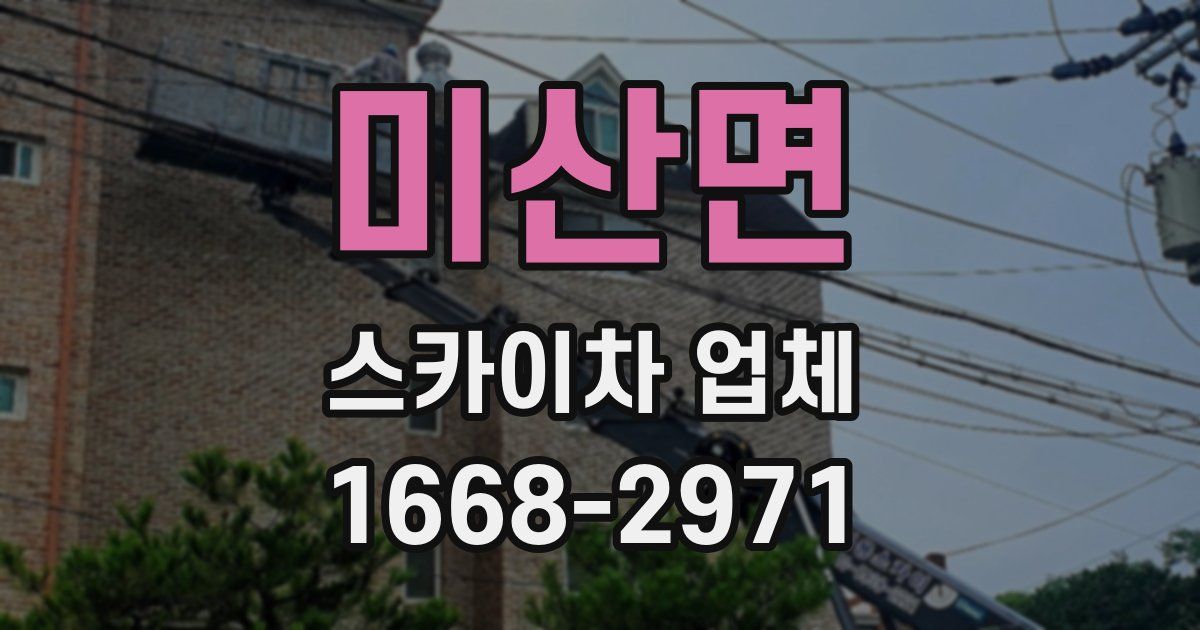 미산면 스카이차 업체