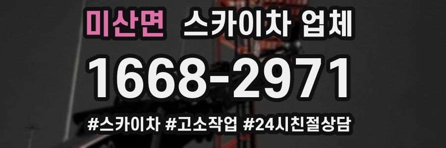 미산면 스카이차 업체