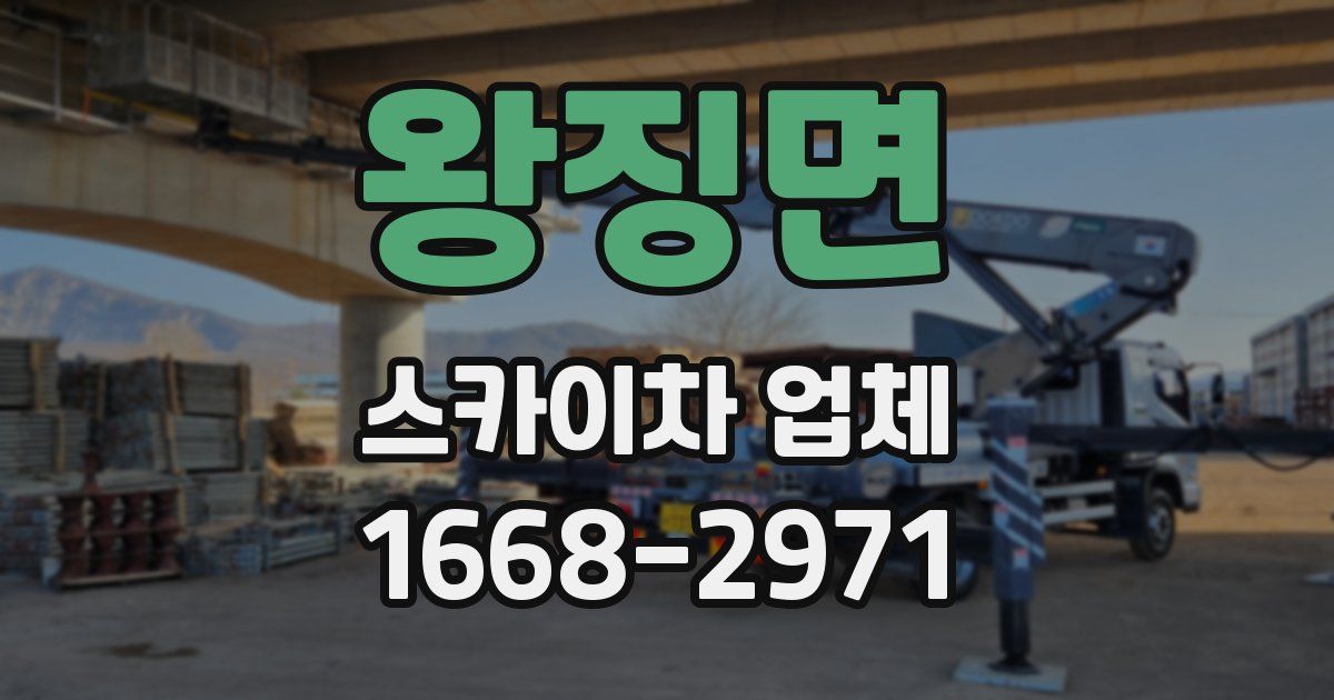 왕징면 스카이차 업체