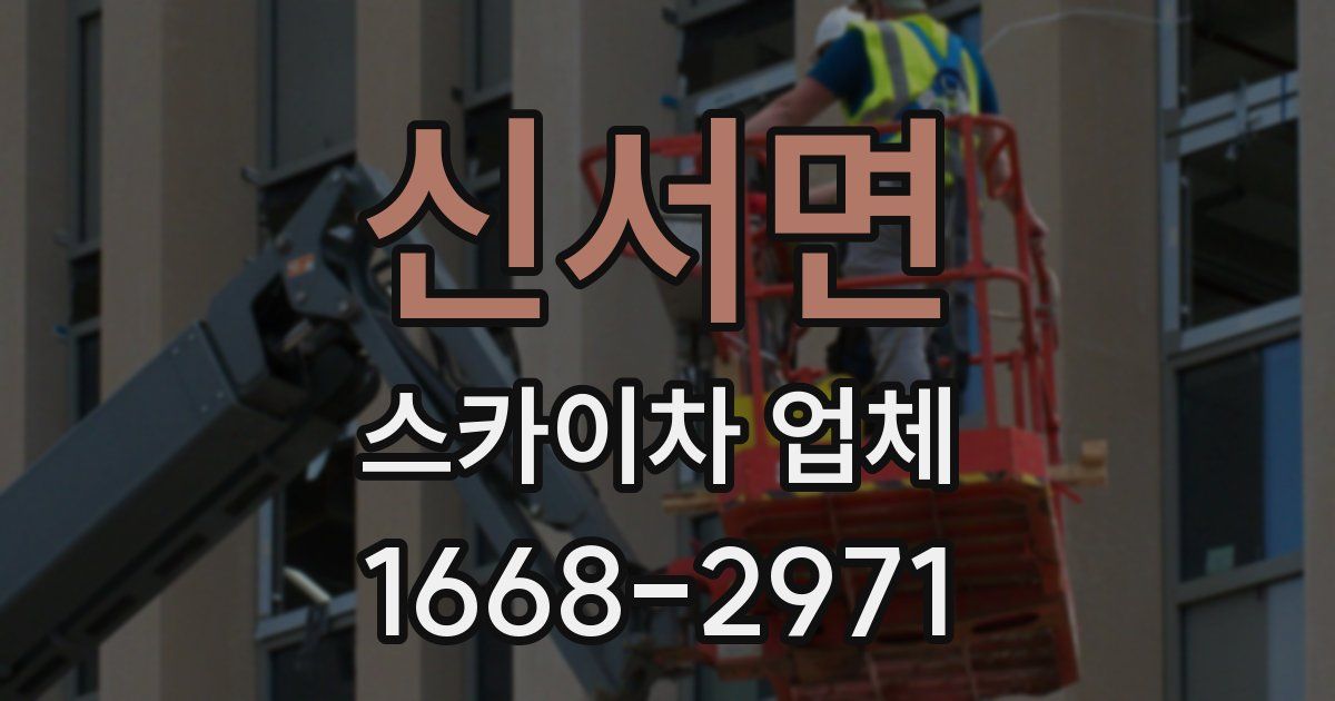 신서면 스카이차 업체