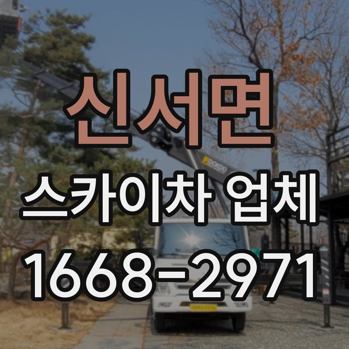 신서면 스카이차 업체