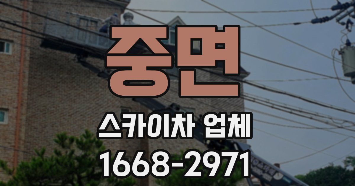 중면 스카이차 업체