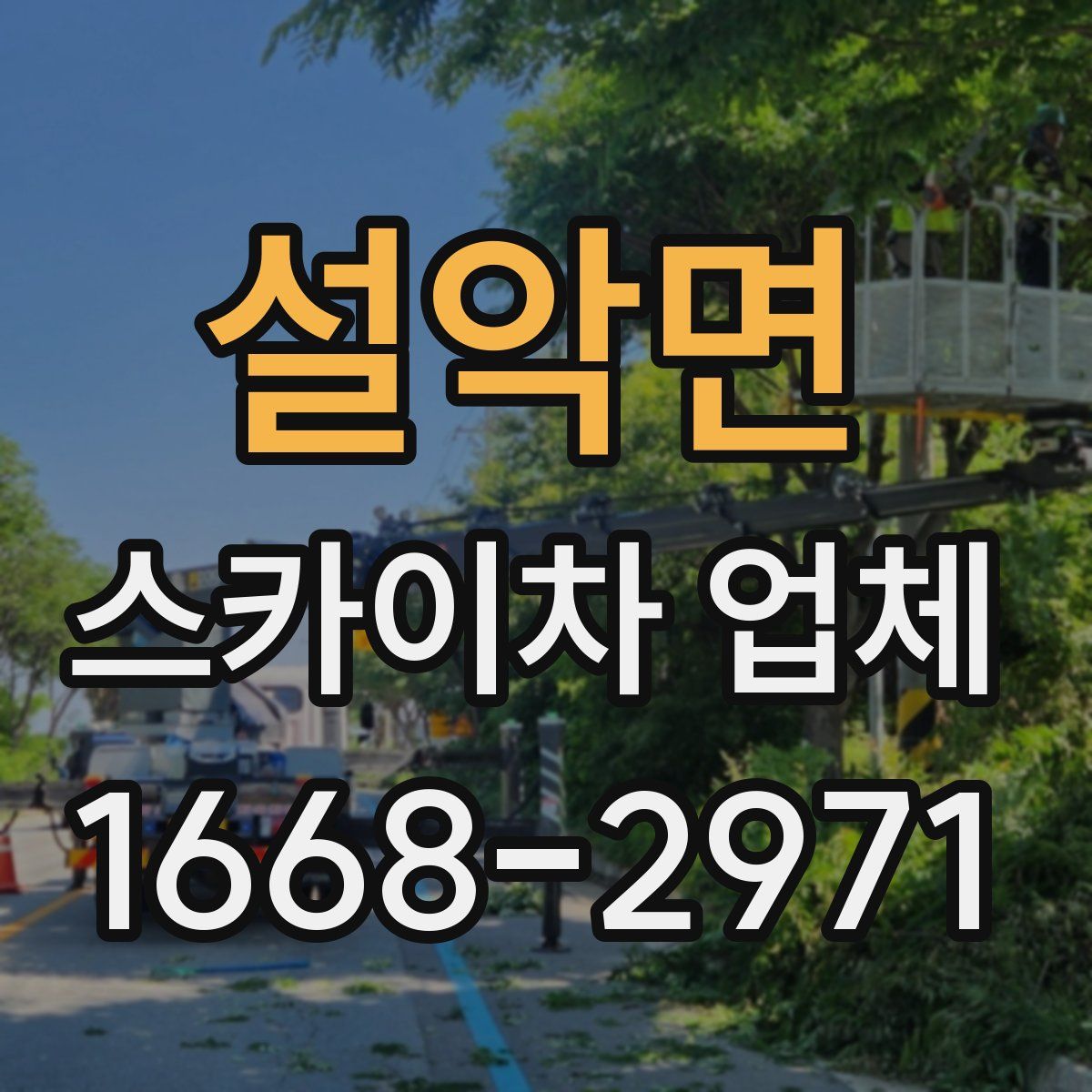 설악면 스카이차 업체