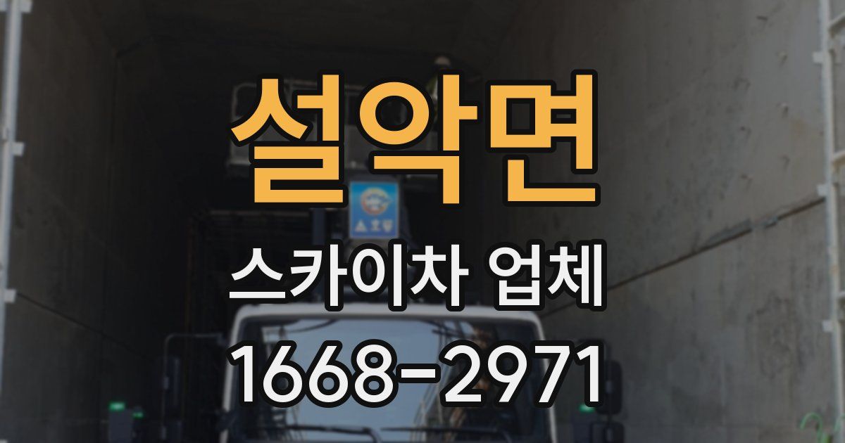 설악면 스카이차 업체