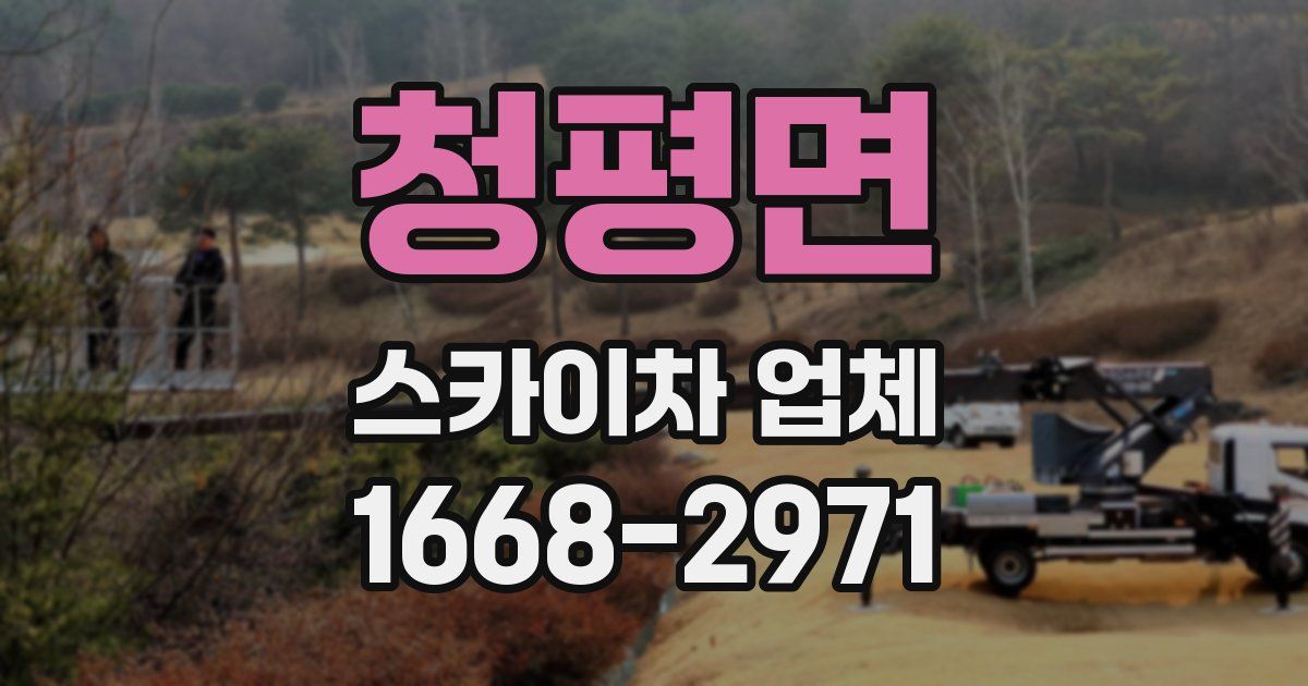 청평면 스카이차 업체