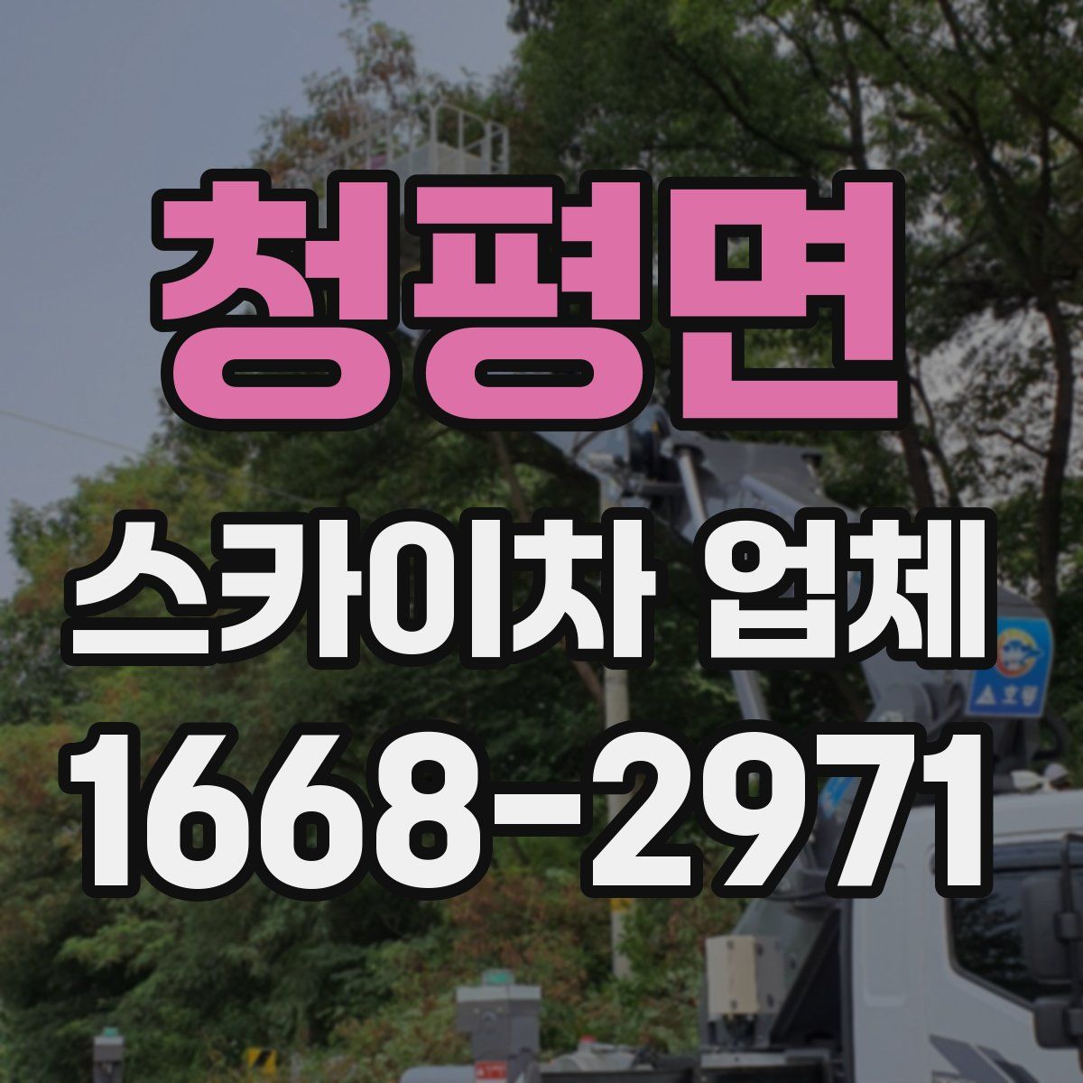 청평면 스카이차 업체