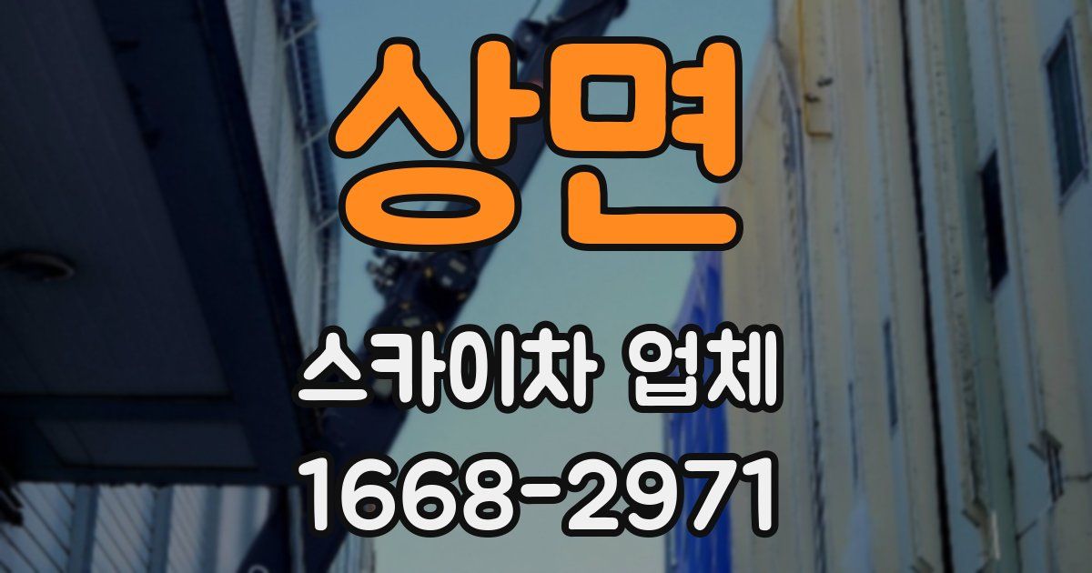 상면 스카이차 업체