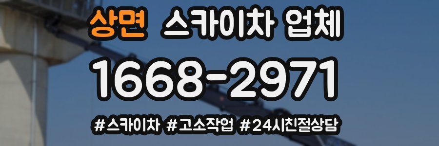상면 스카이차 업체