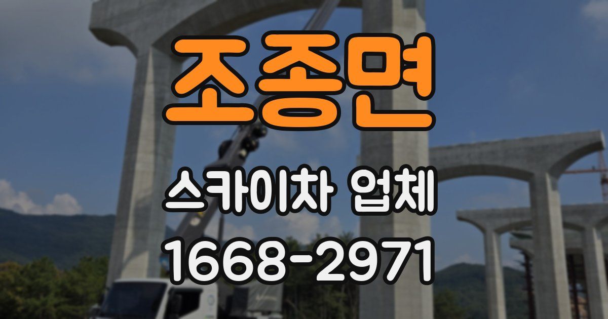 조종면 스카이차 업체