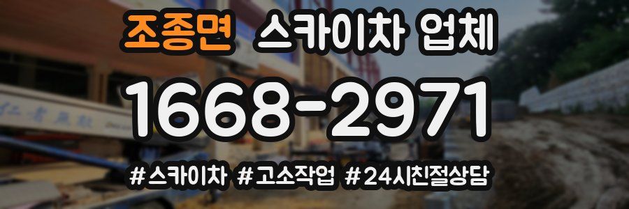 조종면 스카이차 업체