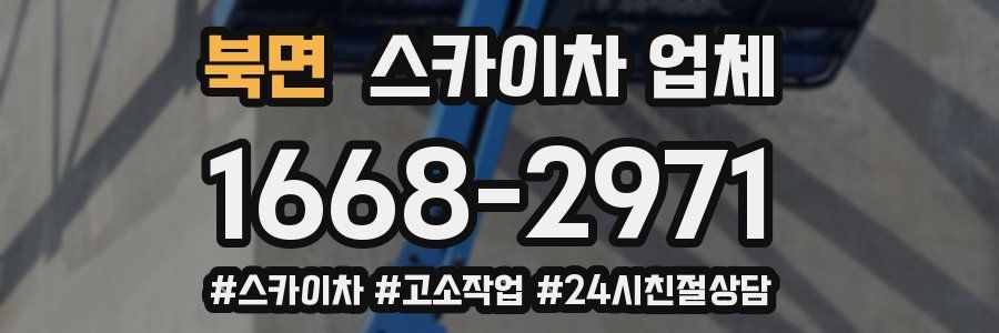 북면 스카이차 업체