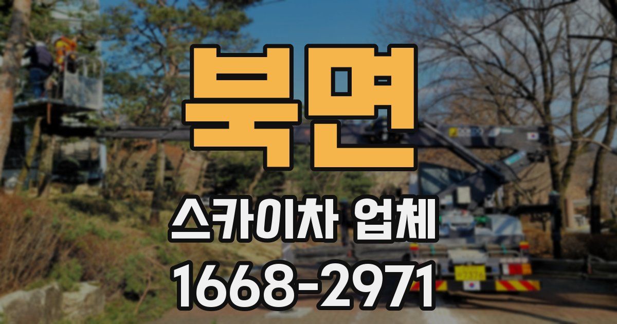 북면 스카이차 업체