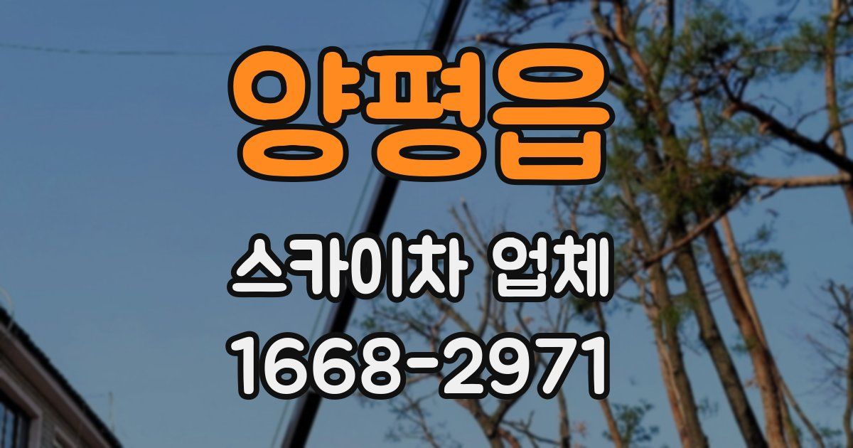 양평읍 스카이차 업체
