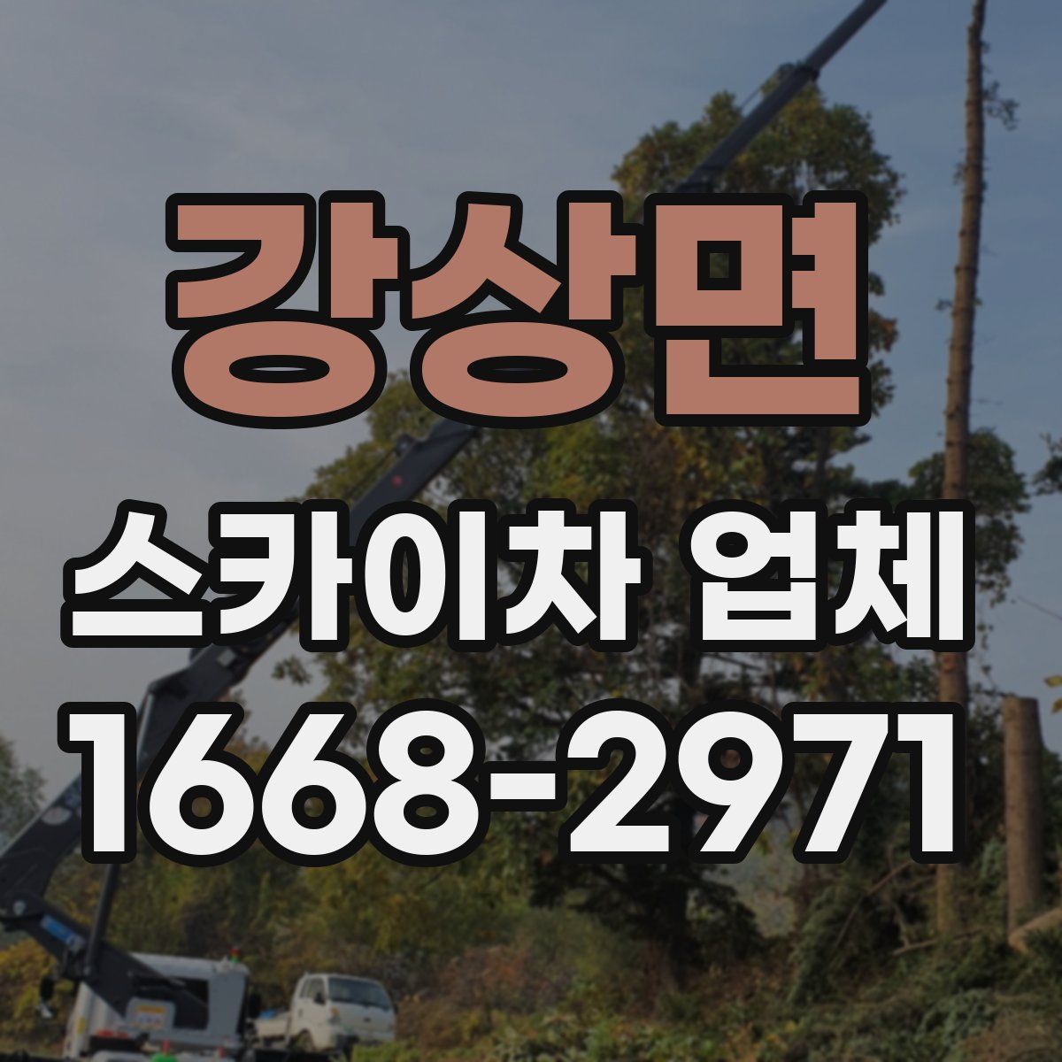 강상면 스카이차 업체
