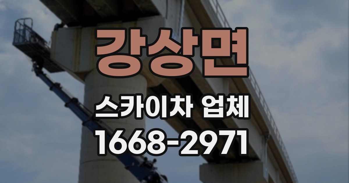 강상면 스카이차 업체