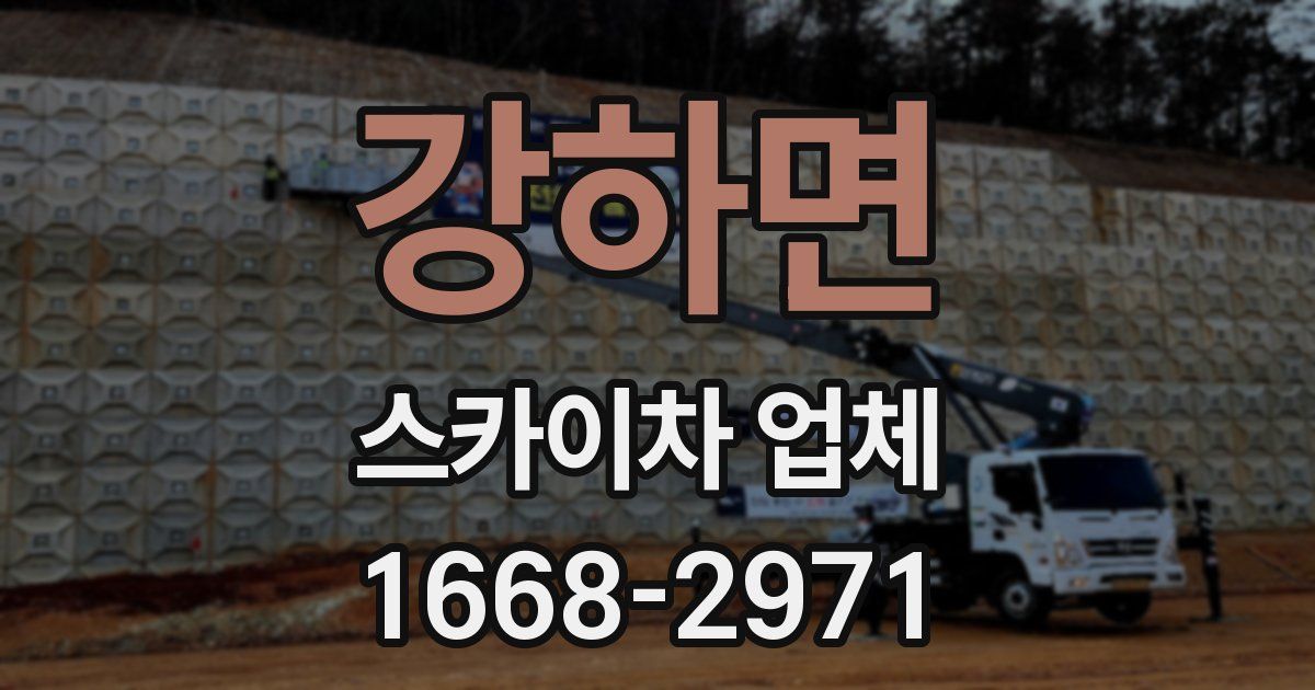 강하면 스카이차 업체