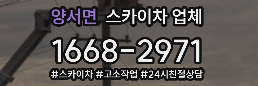 양서면 스카이차 업체
