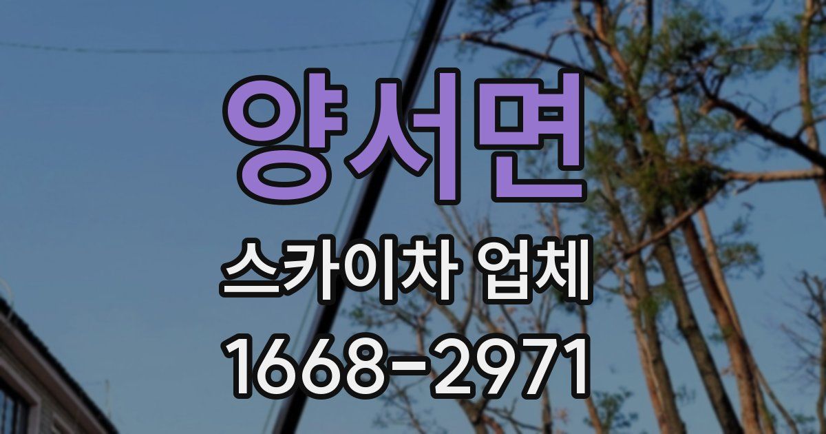 양서면 스카이차 업체