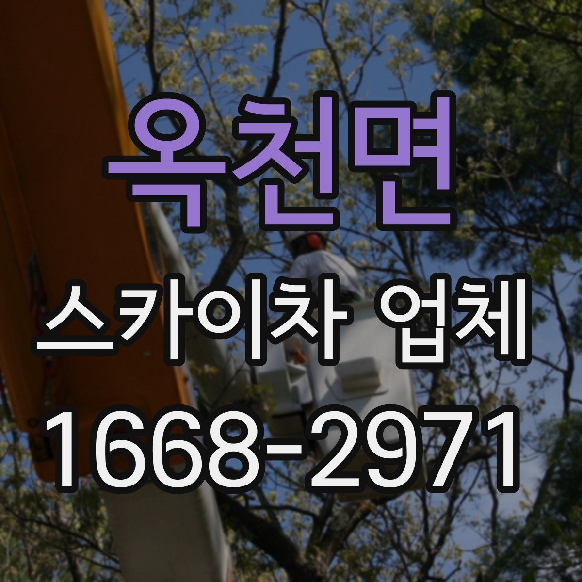 옥천면 스카이차 업체