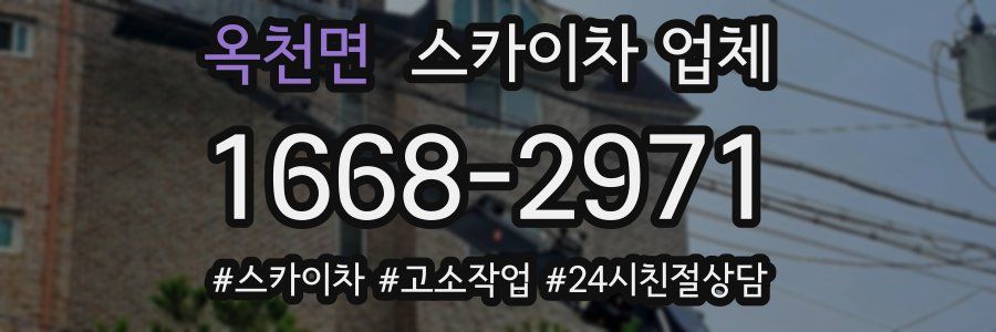 옥천면 스카이차 업체