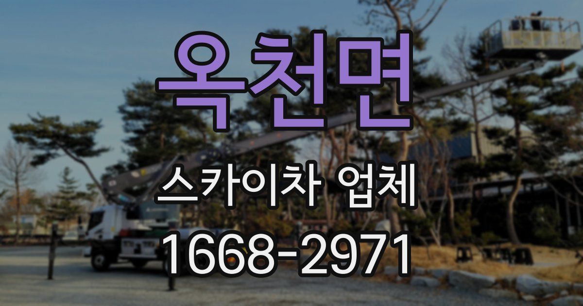 옥천면 스카이차 업체