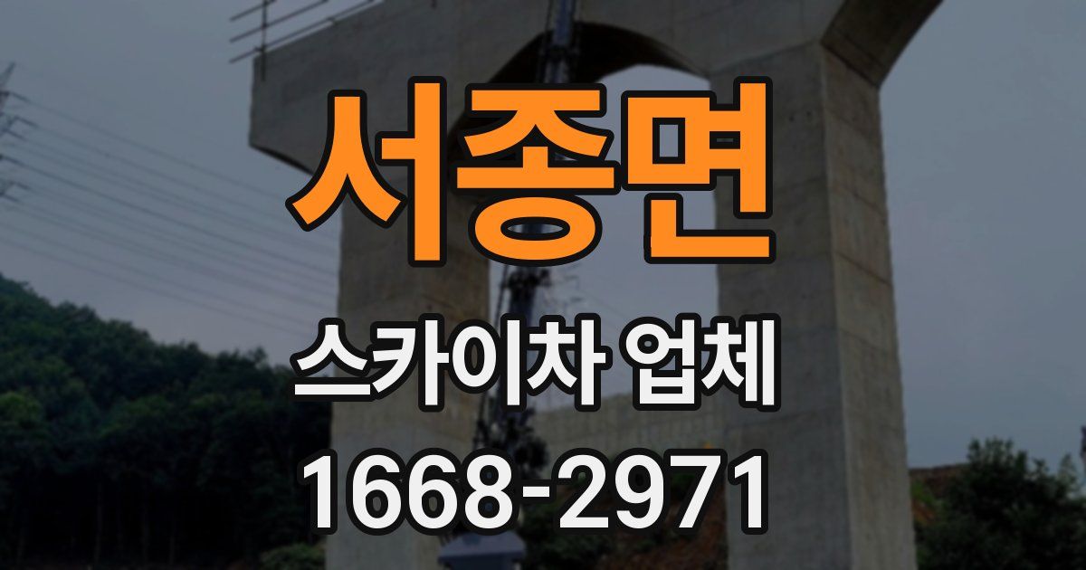 서종면 스카이차 업체