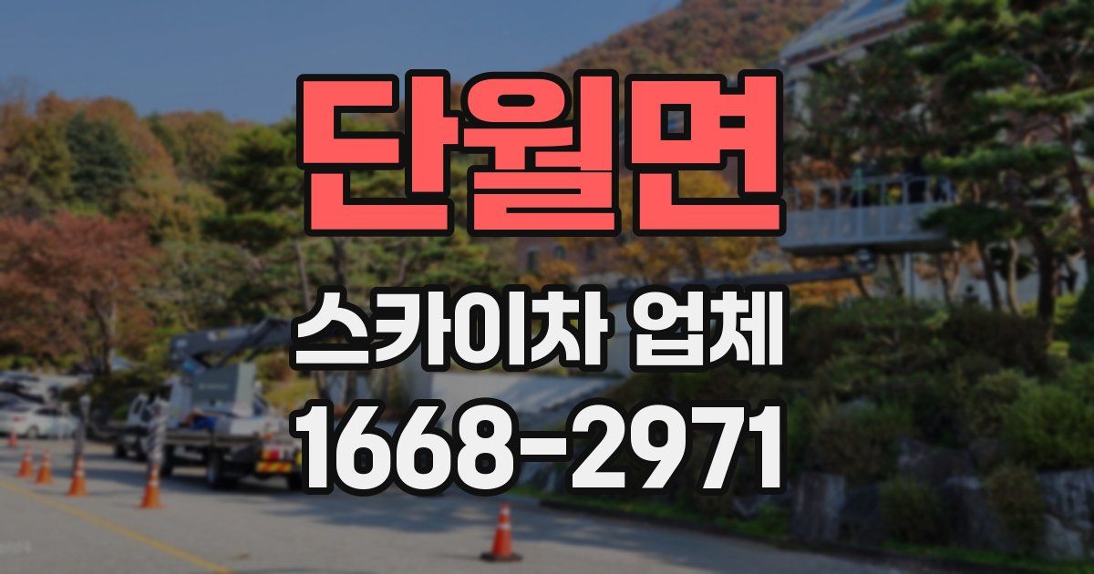 단월면 스카이차 업체