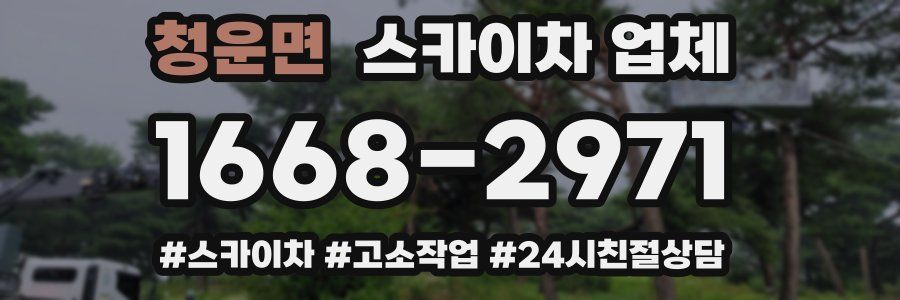 청운면 스카이차 업체