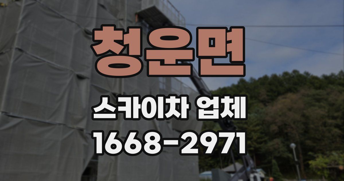 청운면 스카이차 업체