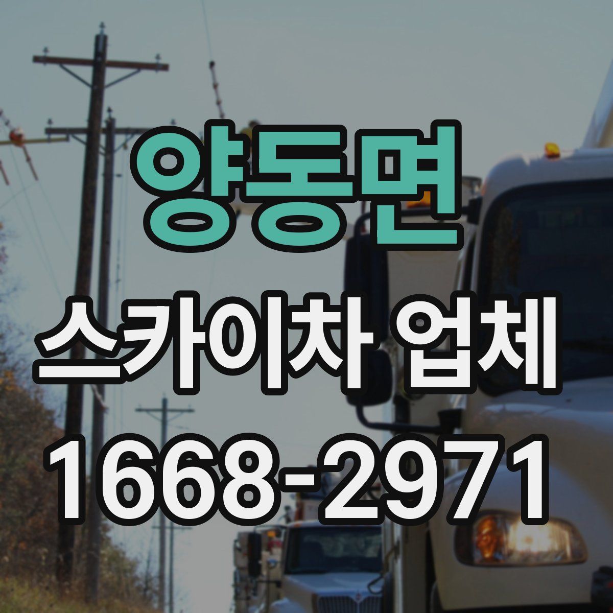 양동면 스카이차 업체