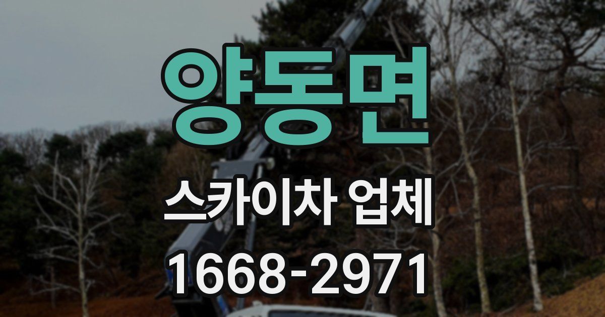 양동면 스카이차 업체