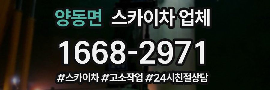 양동면 스카이차 업체
