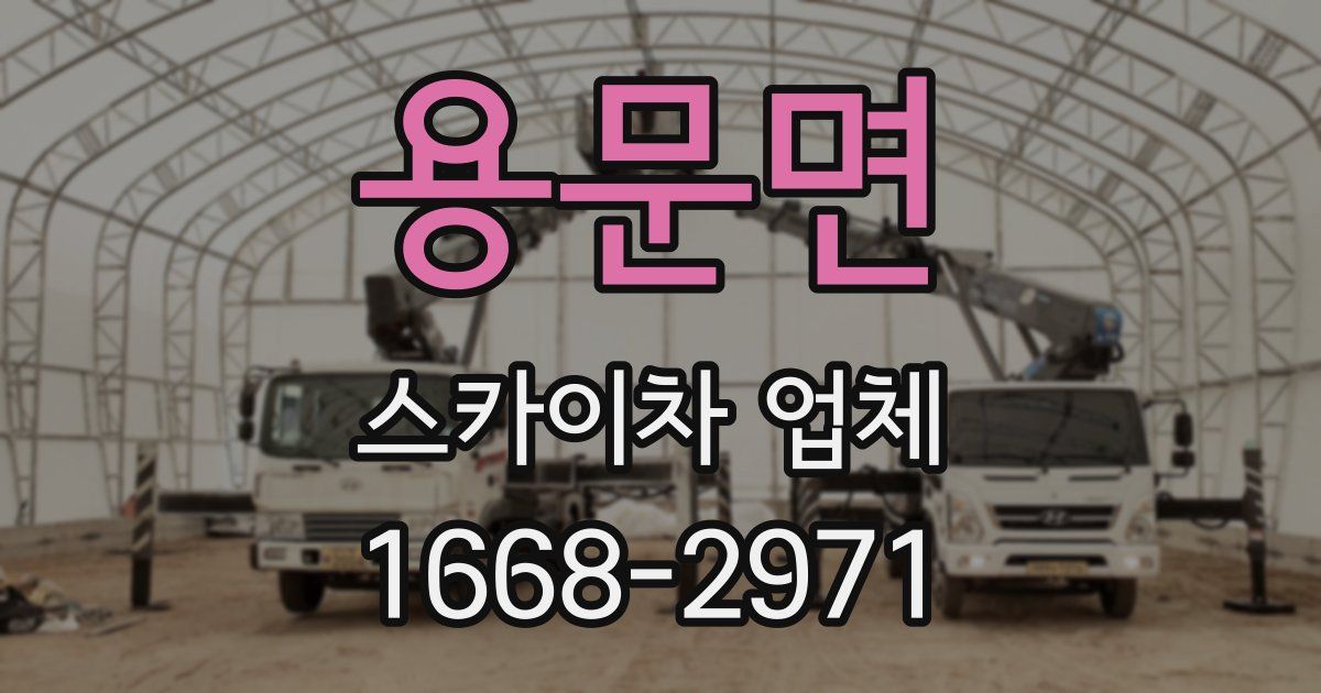 용문면 스카이차 업체