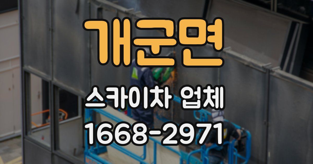 개군면 스카이차 업체