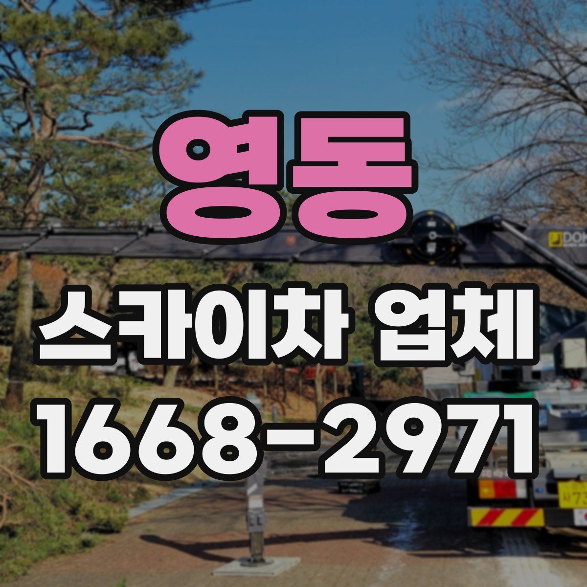 영동 스카이차 업체