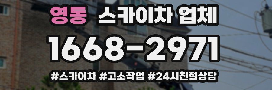 영동 스카이차 업체