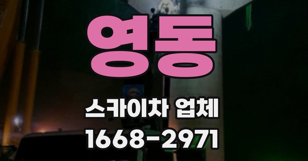 영동 스카이차 업체