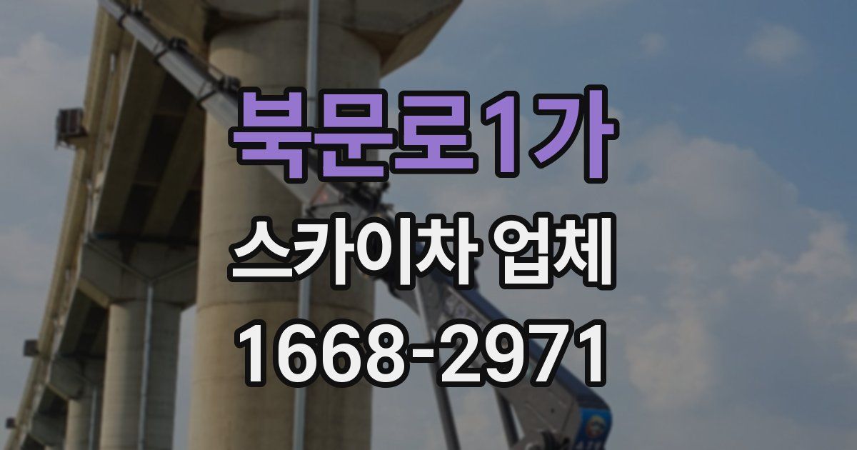 북문로1가 스카이차 업체