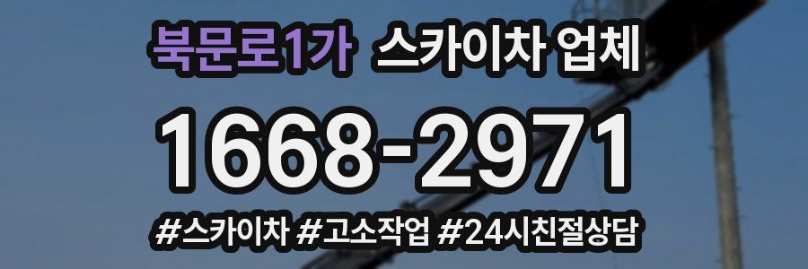 북문로1가 스카이차 업체