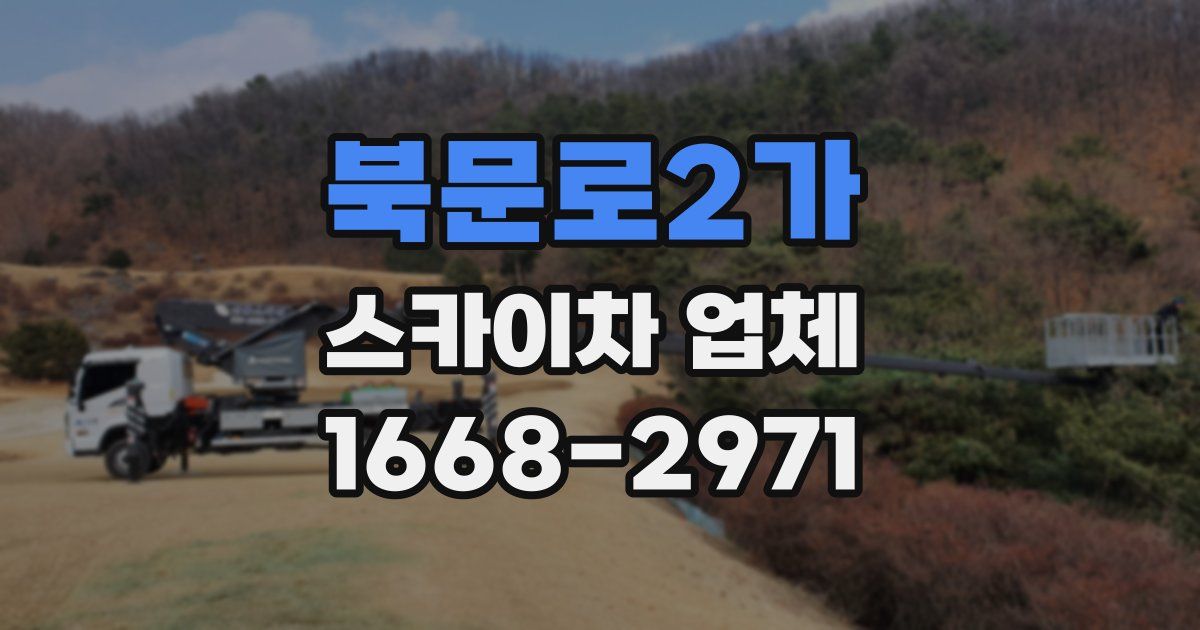 북문로2가 스카이차 업체