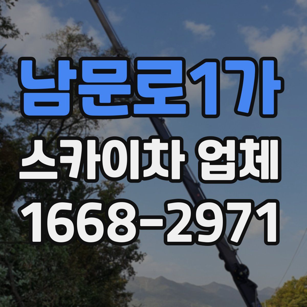 남문로1가 스카이차 업체