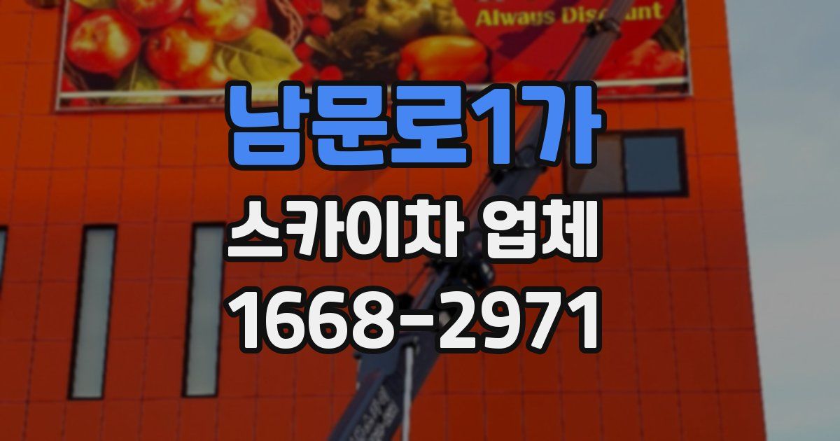 남문로1가 스카이차 업체