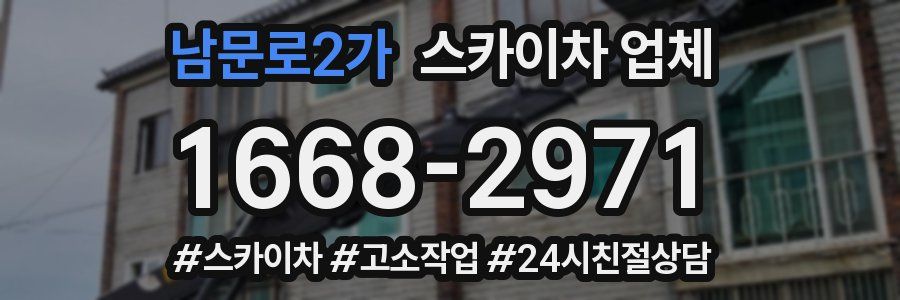 남문로2가 스카이차 업체